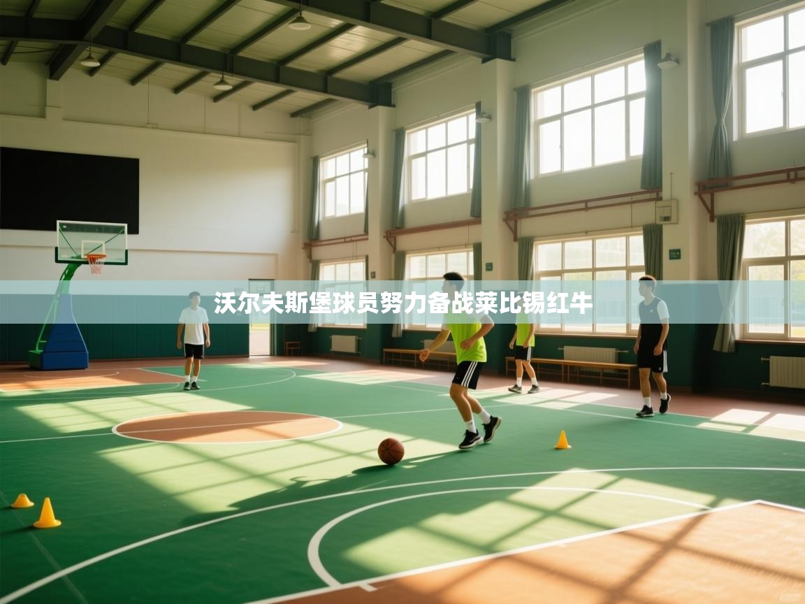 沃尔夫斯堡球员努力备战莱比锡红牛 第2张