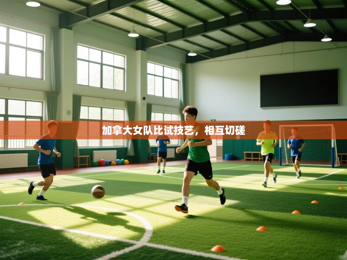 加拿大女队比试技艺,相互切磋 第1张